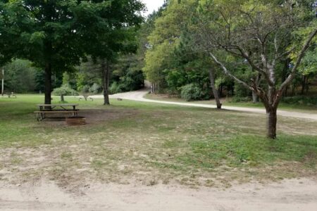 Betsie River Canoe and Campground - Electric Campsite 7