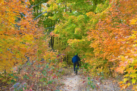 Explore the Best of Nature: Camping and Hiking Around Betsie River Campground