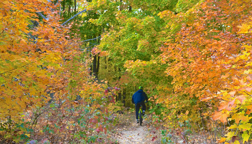 Explore the Best of Nature: Camping and Hiking Around Betsie River Campground