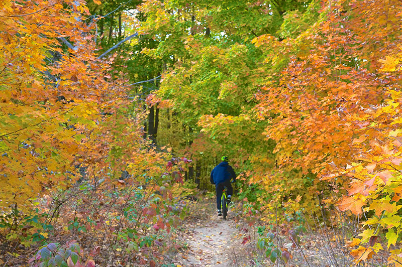 Explore the Best of Nature: Camping and Hiking Around Betsie River Campground